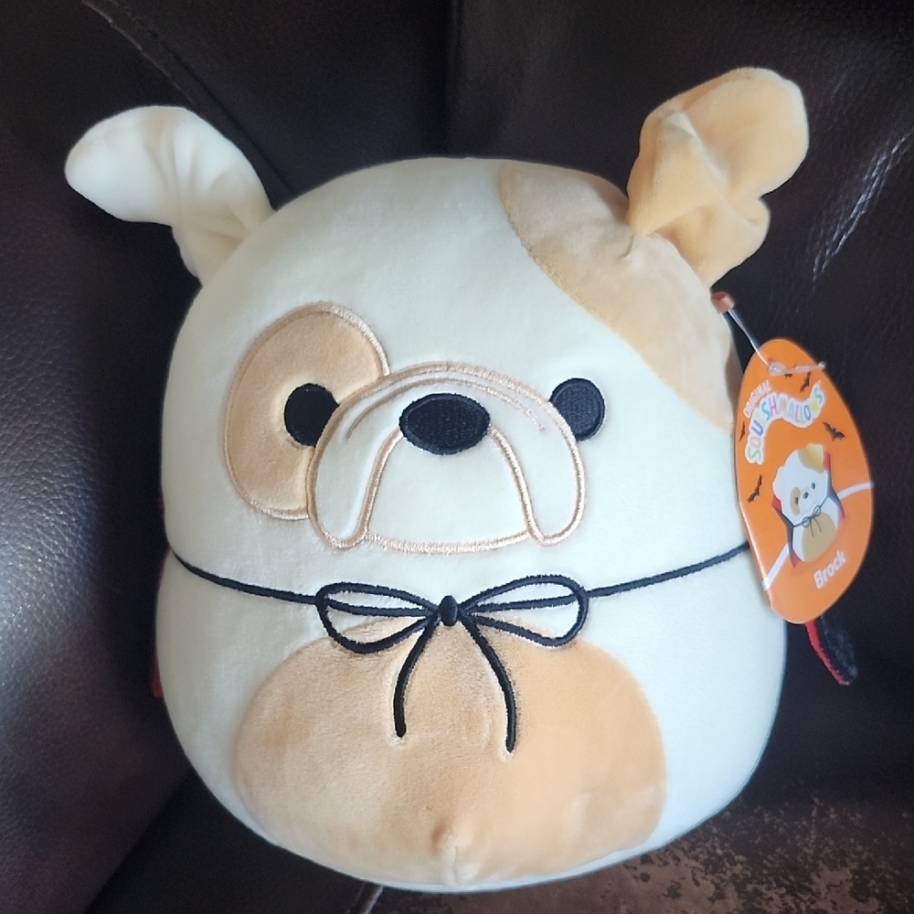 Halloween Squishmallow Brock Vampire BullDog With Cape
